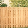 FENCE SPECIFICATIONS (Architectural Modification forms)